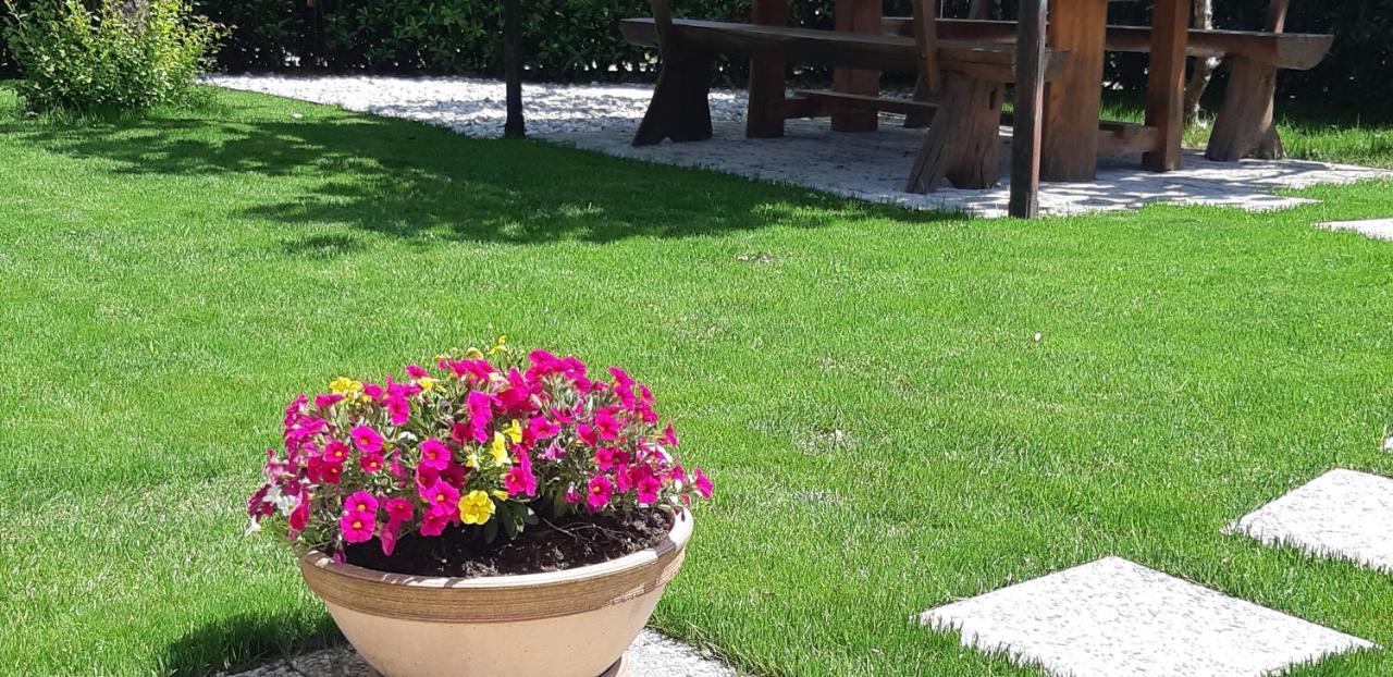Apartma Bolero تولمين المظهر الخارجي الصورة