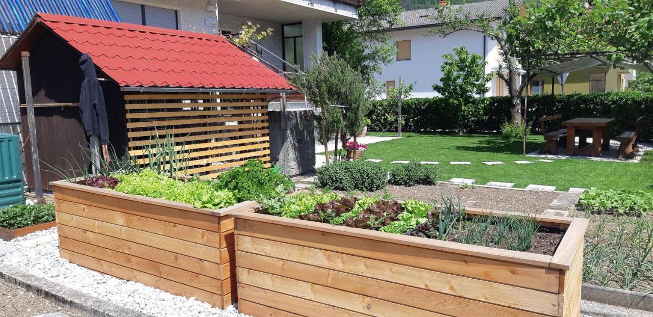 Apartma Bolero تولمين المظهر الخارجي الصورة